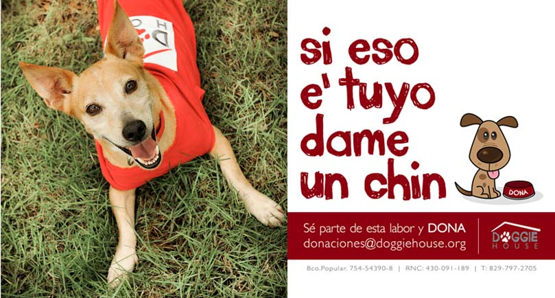 Imagen de DOGGIE HOUSE REPUBLICA DOMINICANA. 